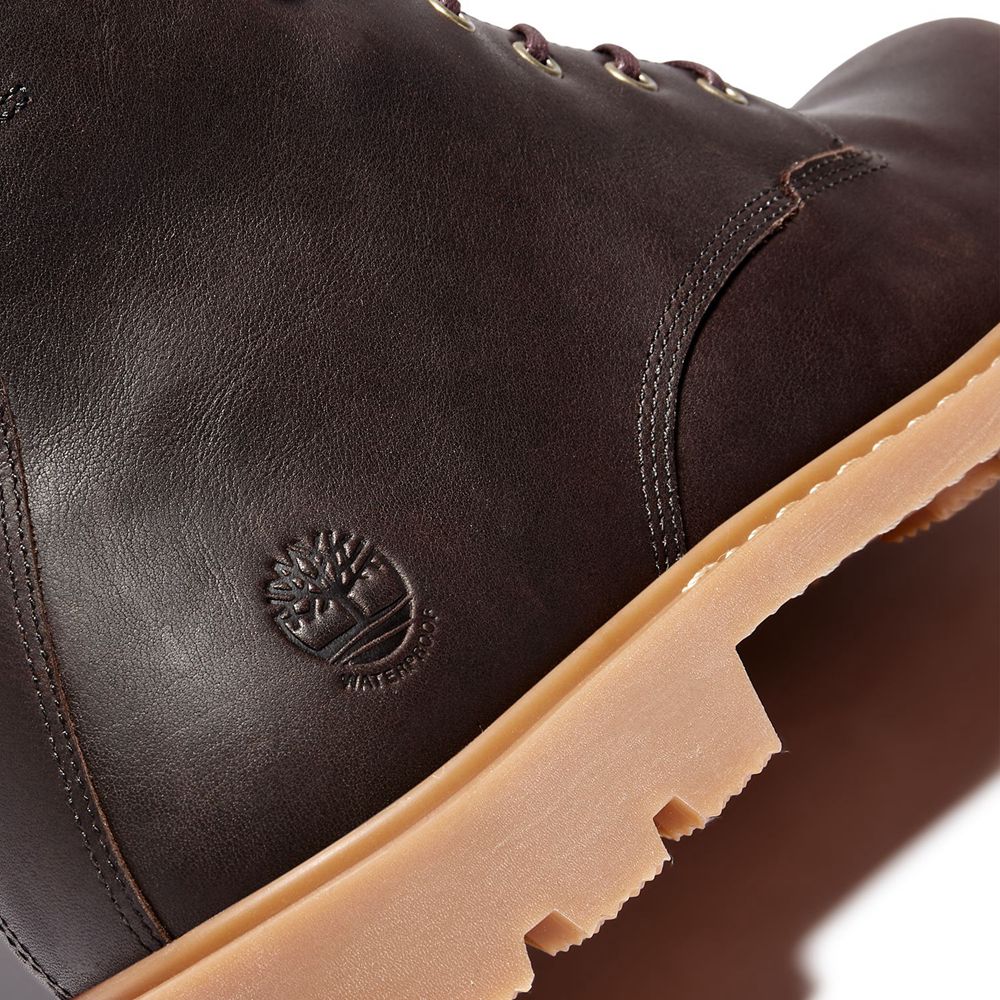 Bocanci 6-Inch Timberland Barbati Maro Inchis - Belanger Ek+ Waterproof - Romania - TEWQAM825